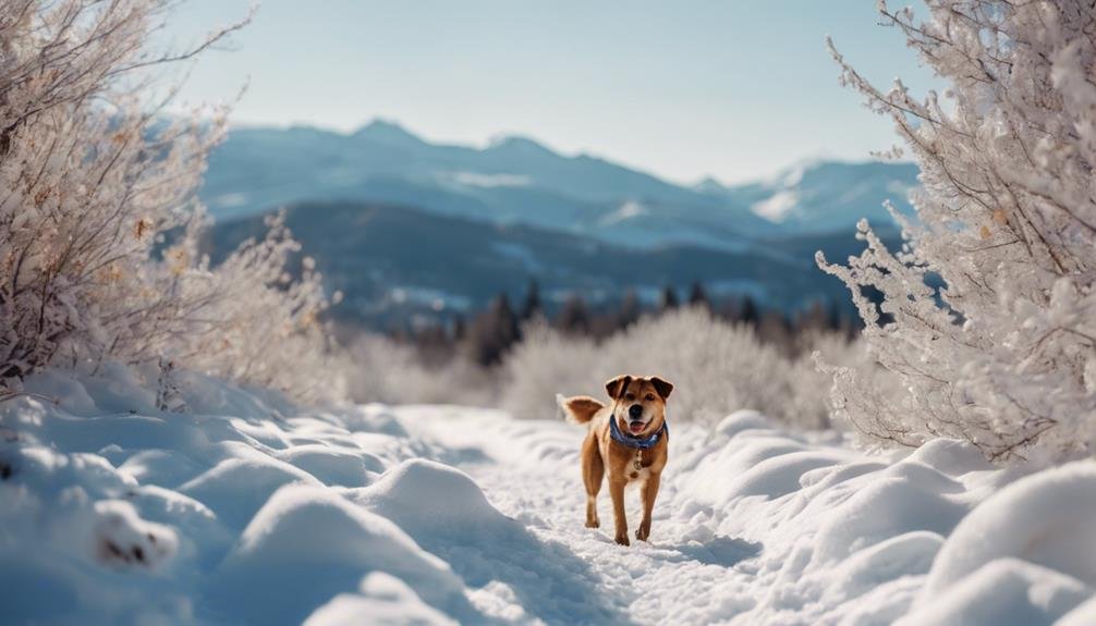 adapt for seasonal hiking conditions