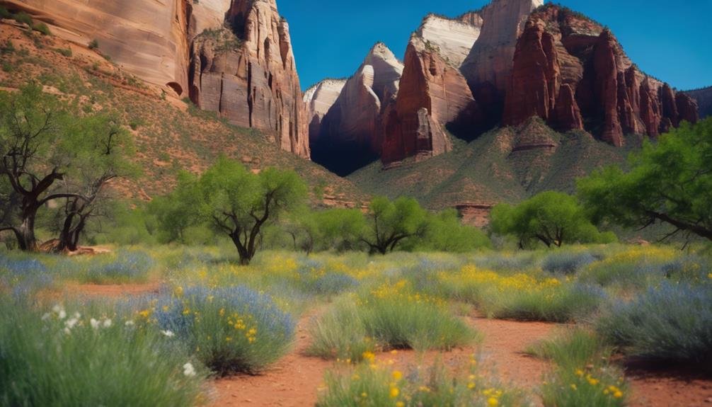 majestic sandstone cliffs serene wilderness paradise